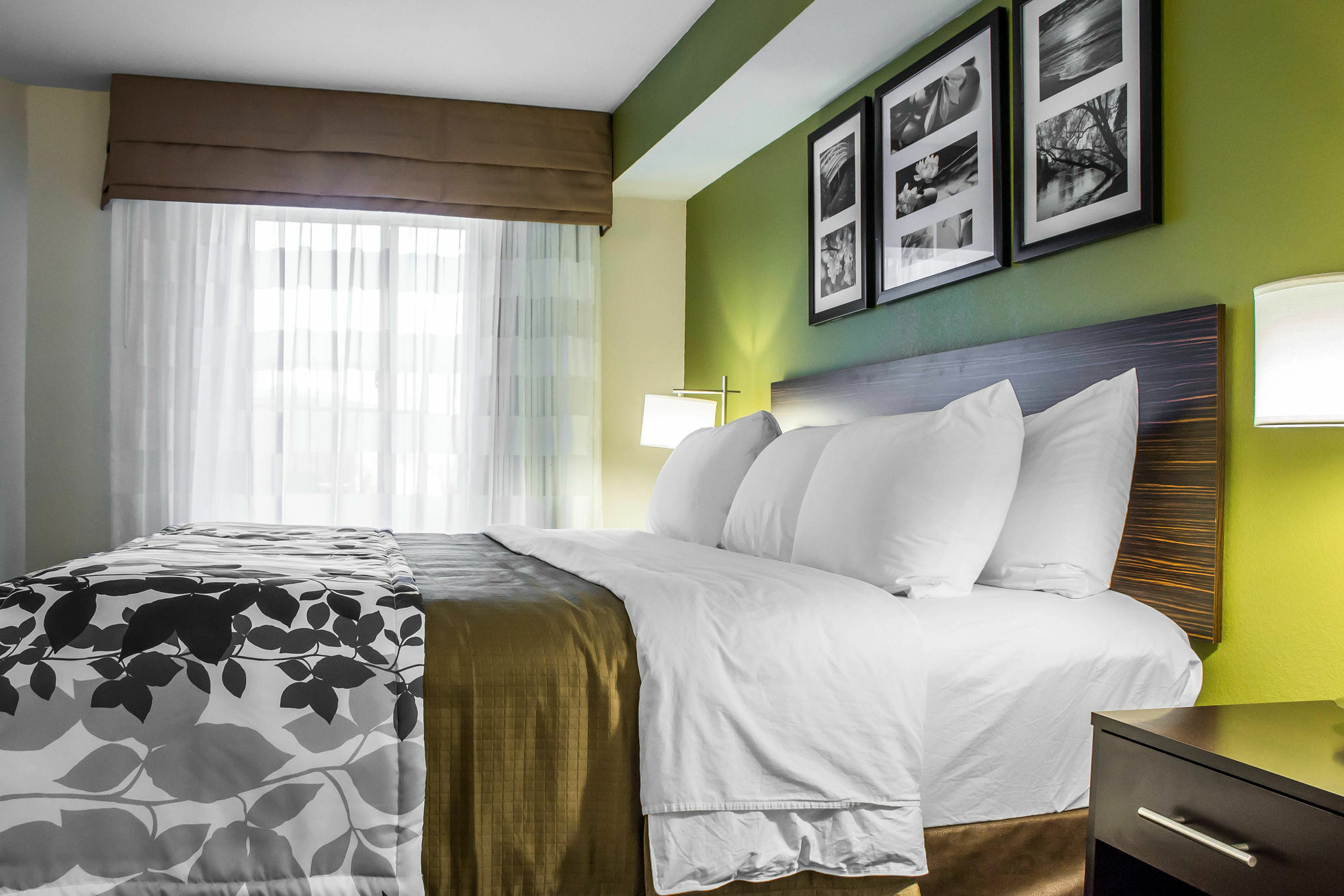 Surestay Plus By Best Western Mesa Superstition Springs Екстер'єр фото