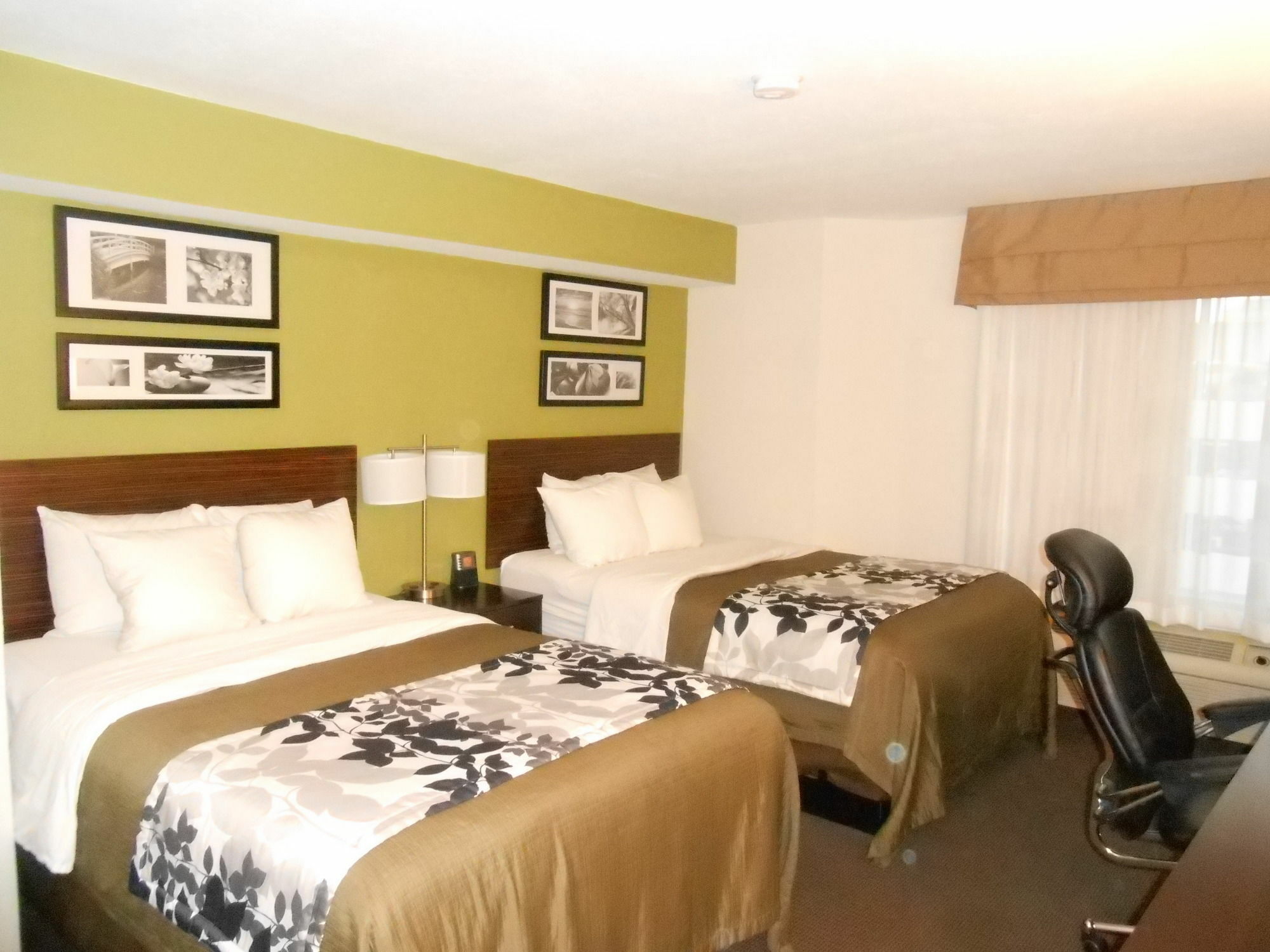 Surestay Plus By Best Western Mesa Superstition Springs Екстер'єр фото