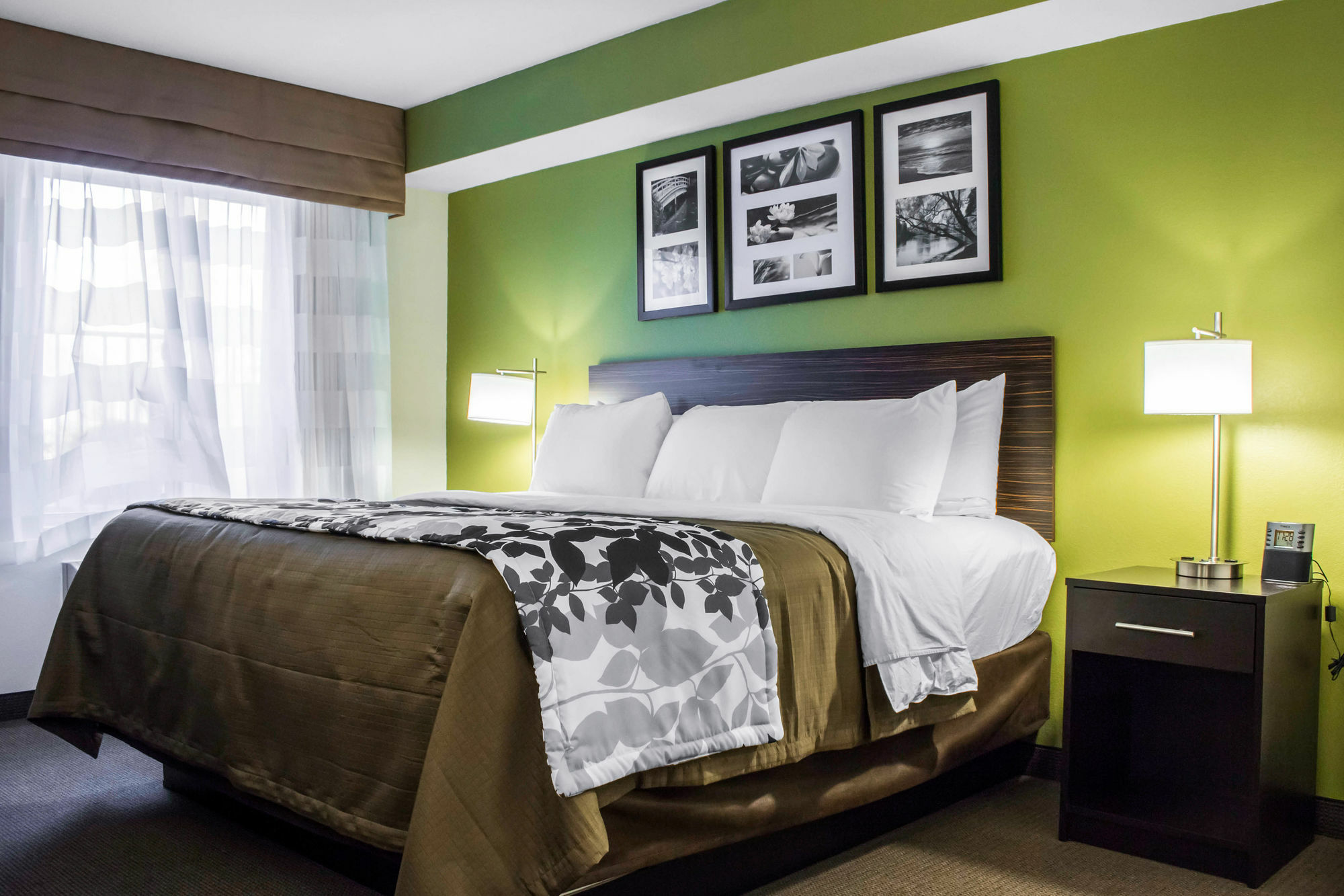 Surestay Plus By Best Western Mesa Superstition Springs Екстер'єр фото