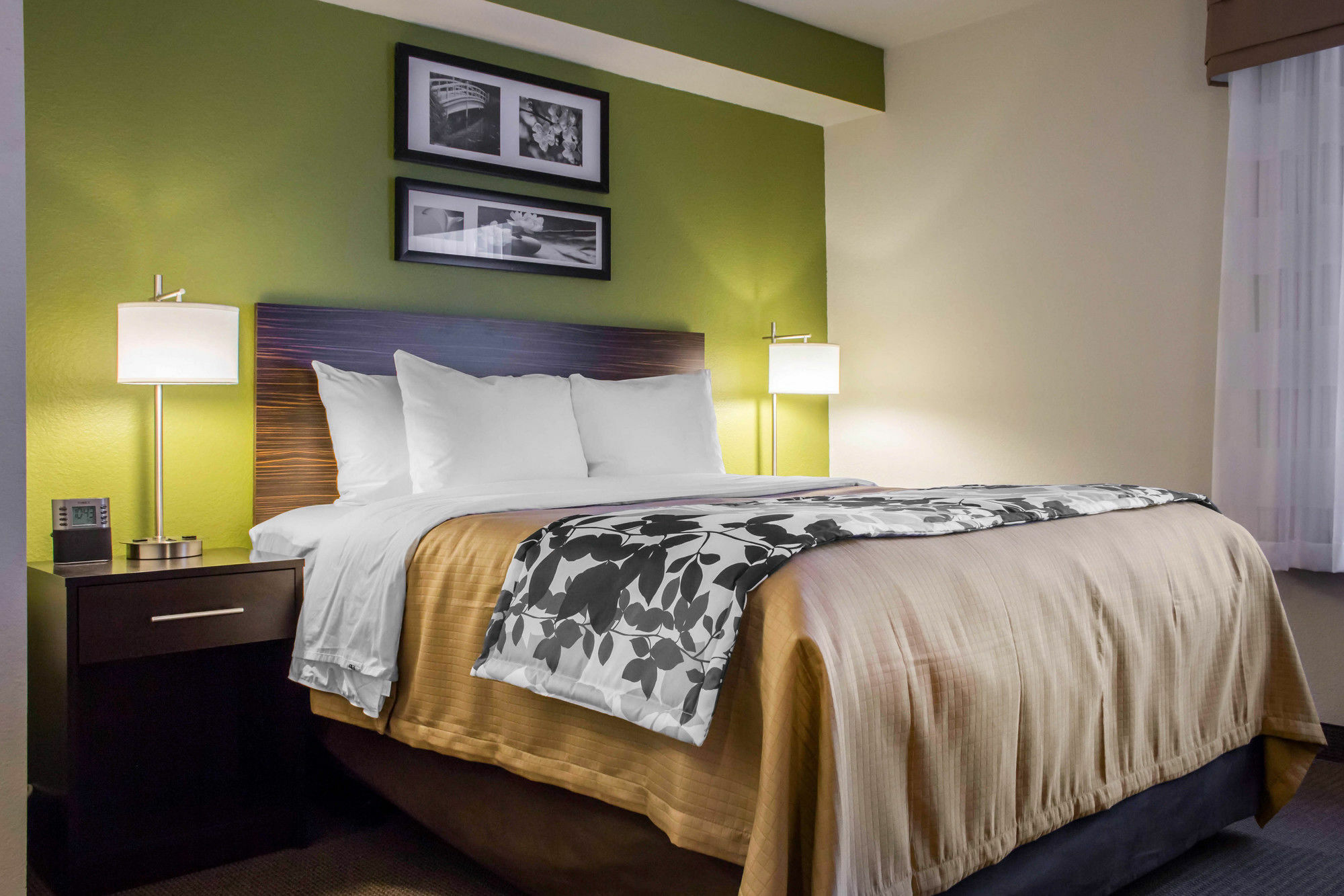Surestay Plus By Best Western Mesa Superstition Springs Екстер'єр фото